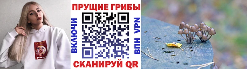 Галлюциногенные грибы Magic Shrooms  как найти   нарко площадка формула  Опочка 
